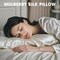 Silk Pillow Cases 2 Pack, 100% Pure Mulberry Silk Pillowcase for Hair and Skin Health, Standard Size 20" x 26" Silk Pillow Case, Soft Smooth Cooling Premium Grade Silk Pillow Covers (White)